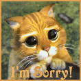 Cute-cat-says-sorry